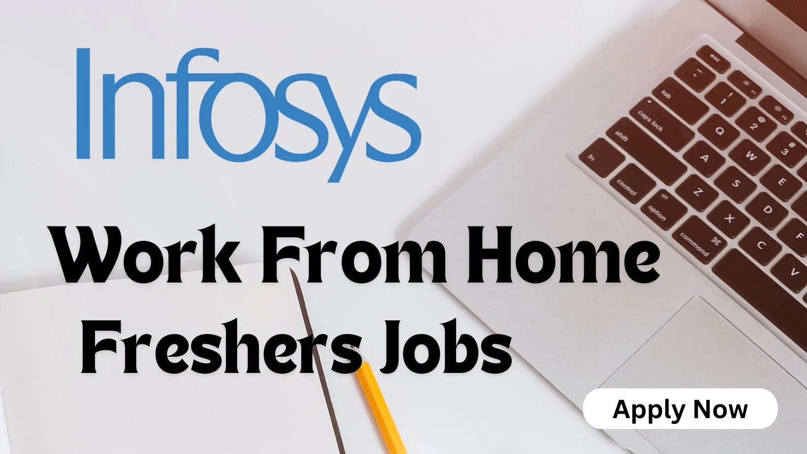 Infosys Work From Home Jobs