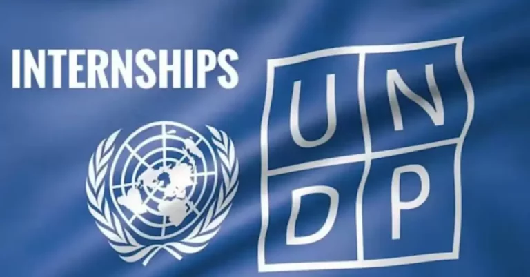 UNDP Internship 2025