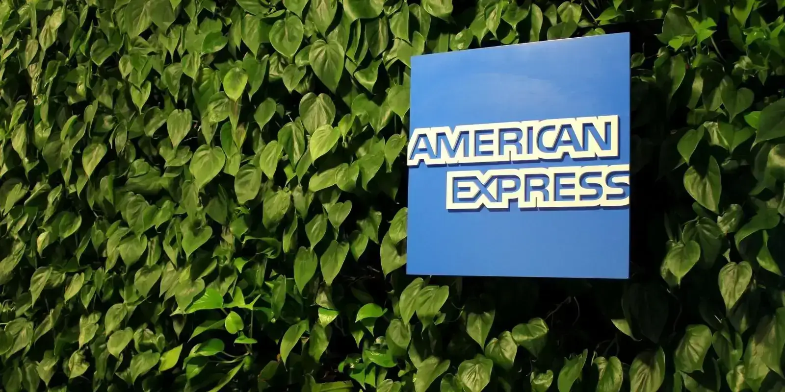 American Express WFH Jobs 2025